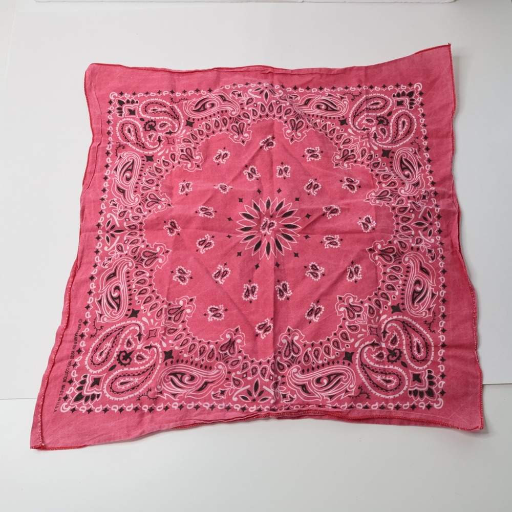 Hav-A-Hank Pink Paisley Bandana 100% Cotton Made in USA RN 15187 20x20